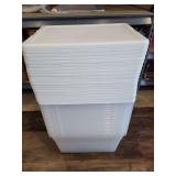 (20) Sterilite Totes..