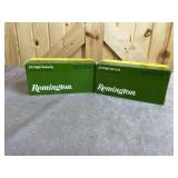 2 Bricks (1000 Rounds) Remington .22 LR