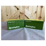 2 Bricks (1000 Rounds) Remington .22 LR