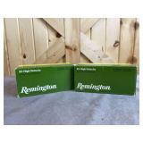 2 Bricks (1000 Rounds) Remington .22 LR