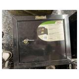 Sentinel Heavy Gauge Steel Security Cabinet