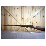Savage Arms .22 LR Bolt Action Rifle