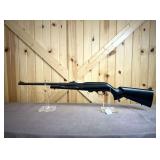 Remington Arms Model 597 Dale Earnhardt .22 LR Semiauto Rifle