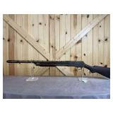 Riverside Arms Pump Shotgun