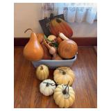 Decorative Gourds and Pumpkins Assortment