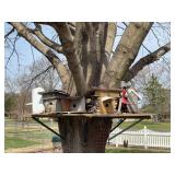 Bird houses (10)