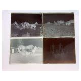 (4) Horses Glass Negatives