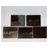 (5) Horses Glass Negatives