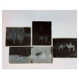 (5) Horses Glass Negatives