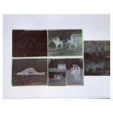 (5) Horses Glass Negatives