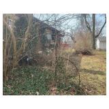 Wrought Iron Garden Trellis