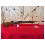 22.cal Bolt Action Rifle