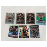 (7) Valentina Shevchenko UFC Card Lot