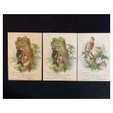 (3) Geiser Mfg. Co. Trade Cards