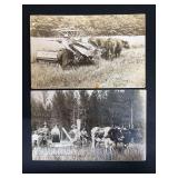(2) Binder Photo Postcards