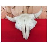 Buffalo Skull Mount