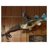 Largemouth Bass Taxidermy Mount on Driftwood
