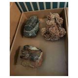 Rocks & Fossils