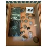 Rocks & Fossils
