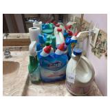 Assorted Household Cleaning Supplies Collection