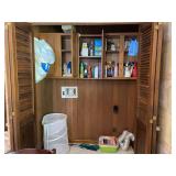Assorted Household Cleaning Supplies and Storage Organizers