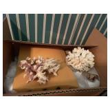 Coral and Seashells