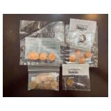 Collection of United States Lincoln Head Cents in Littleton Coin Company Packaging