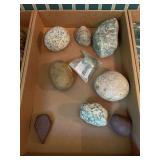 Rocks & Fossils