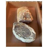 Rocks & Fossils
