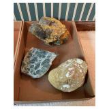 Rocks & Fossils