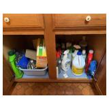Assorted Household Cleaning Supplies and Storage Bin