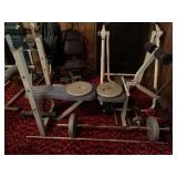 DP Fit for Life Weight Bench and Free Weights Lot