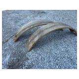 (2) Fender Flat Tops