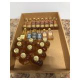 Assorted Miniature Liquor Bottles Lot
