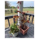 Potted Plants in Containers Including Peace Lily and Begonia