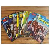 (13) Comic Book Covers