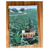Pioneer Seed Atlas