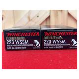 2 Boxes (40 Rounds) Winchester 55 Gr. Nosler Ballistic Silvertip .223 WSSM