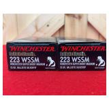 Hard To Find Two Boxes (40 Rounds) Winchester 55 Gr. Nosler Ballistic Silvertip .223 WSSM