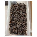 Large Assortment of Drywall Screws in Plastic Bin