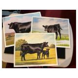(3) National Angus Association Unframed Prints