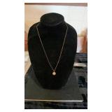 14k Sand Dollar Pendant & Chain