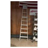 9 ft. Wood Painted Ladder
