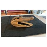 Small Taxidermy Alligator Head Souvenir Glass Eyes