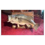 Large 7lb  Mounted Taxidermy Bass