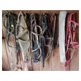 Weedon - Equine Items Galore