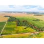 Smallwood Land Auction