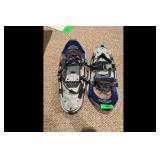 LLBean Approach 21 Snowshoes Blue Silver