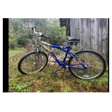 OUTLOOK Outlook 2000 Blue Mountain Bike