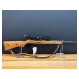 Ruger Model 10/22